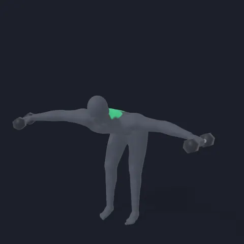 Reverse Dumbbell Fly demo