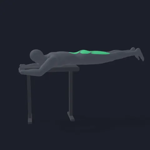 Reverse Hyperextension demo