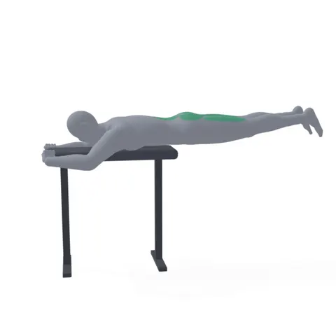 Reverse Hyperextension demo