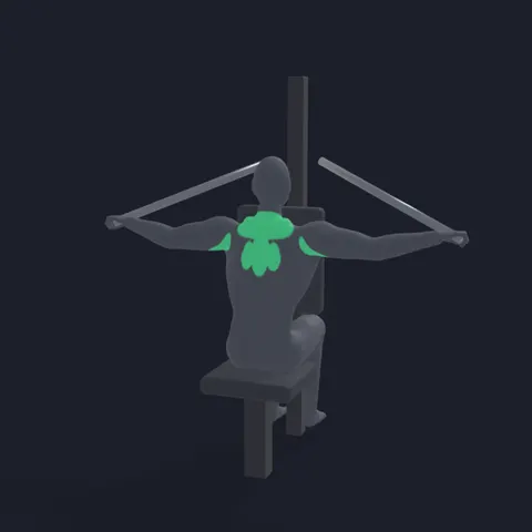 Reverse Machine Fly demo
