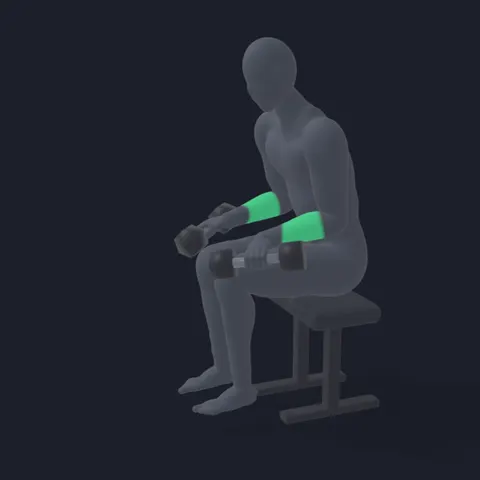 Dumbbell Wrist Extension demo