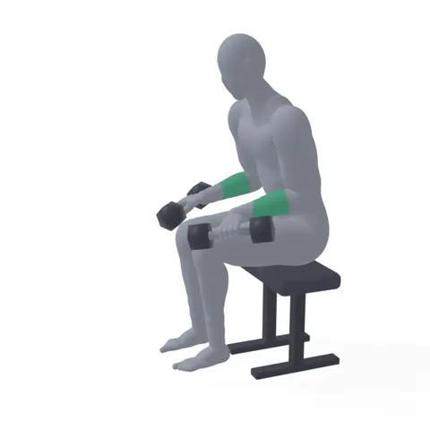 Dumbbell Wrist Extension demo