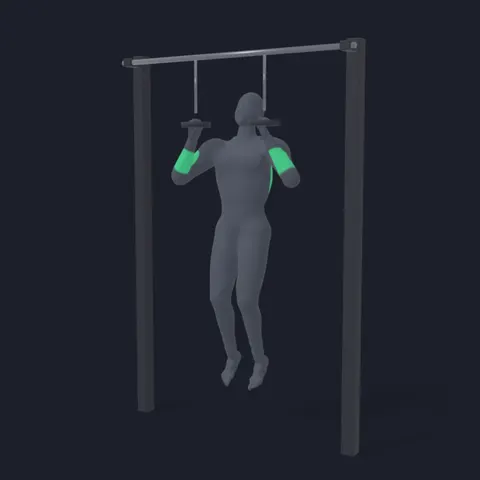 Ring Pull-Up demo