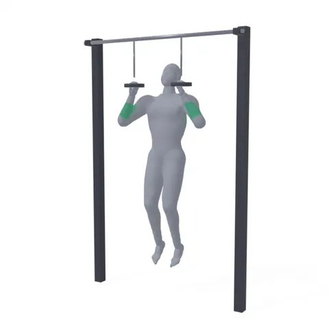 Ring Pull-Up demo