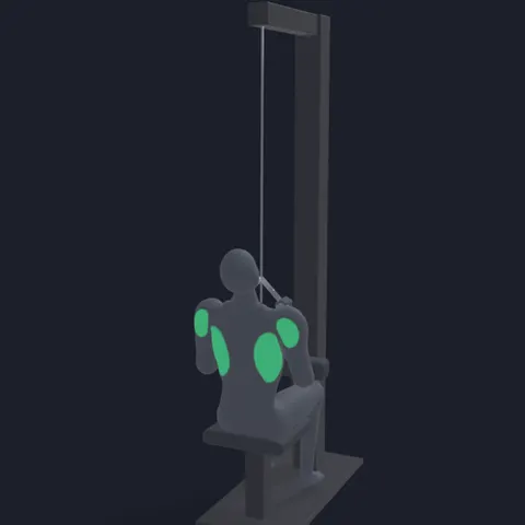 Rope Pulldown demo