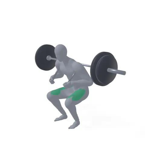 Safety Bar Squat demo
