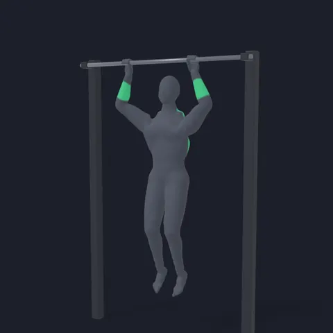 Scap Pull-Up demo