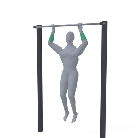 Scap Pull-Up demo