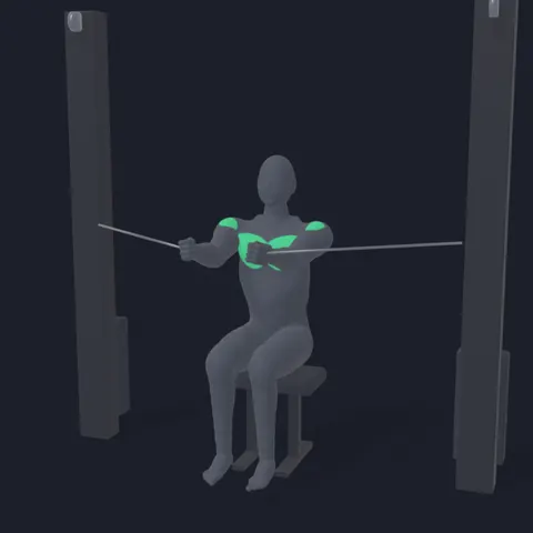 Seated Cable Chest Fly demo