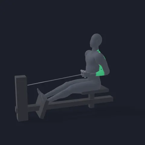 Seated Cable Row demo