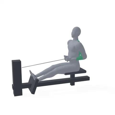 Seated Cable Row demo