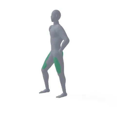 Shallow Body Weight Lunge demo