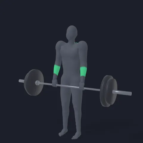 Barbell Shrug demo