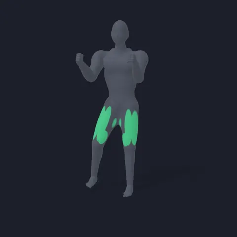 Side Lunges (Bodyweight) demo