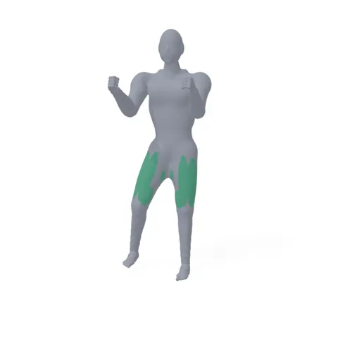 Side Lunges (Bodyweight) demo