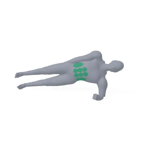 Side Plank demo