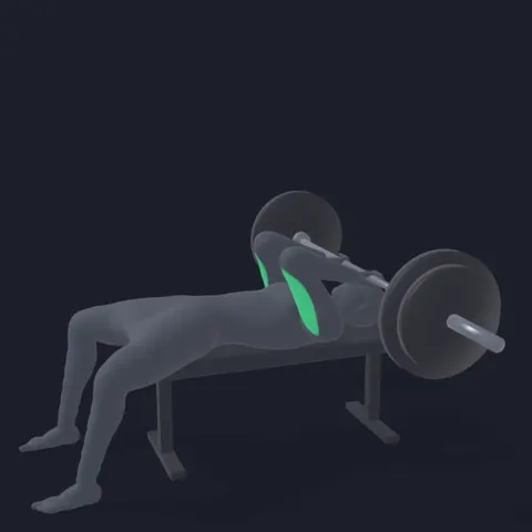 Barbell Lying Tricep Extension demo