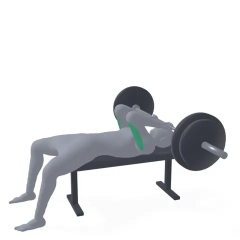 Barbell Lying Tricep Extension demo