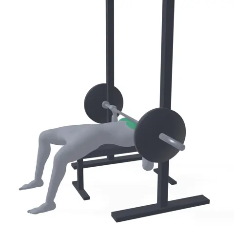 Smith Machine Bench Press demo