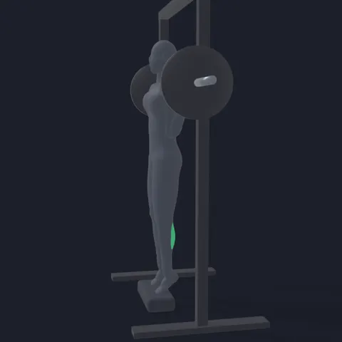 Smith Machine Calf Raise demo