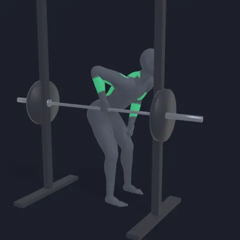 Smith Machine One-Handed Row demo