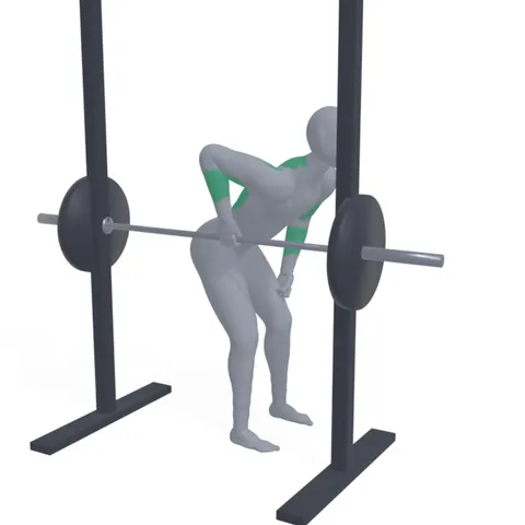 Smith Machine One-Handed Row demo