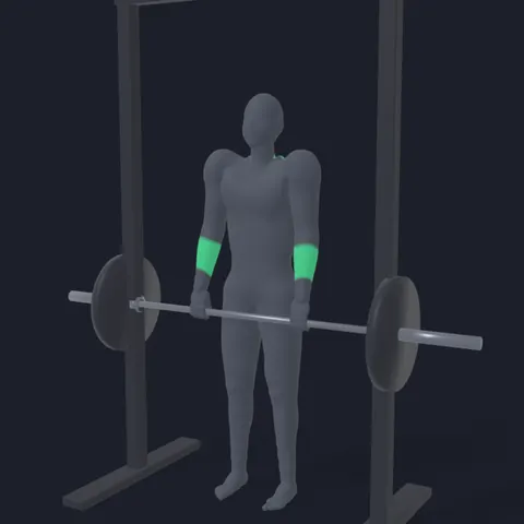 Smith Machine Shrug demo