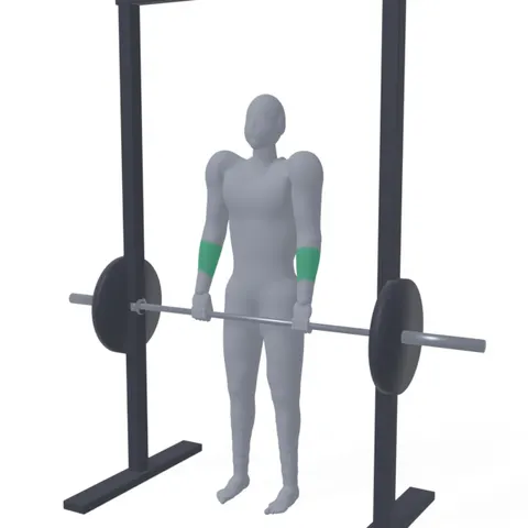 Smith Machine Shrug demo