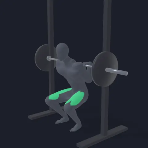 Smith Machine Squat demo