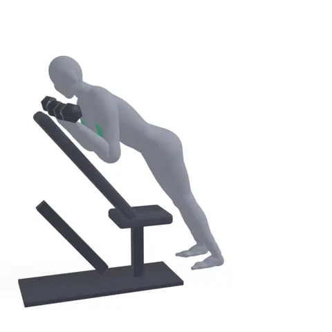 Spider Curl demo