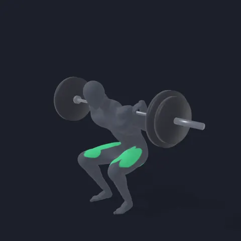 Barbell Squat demo