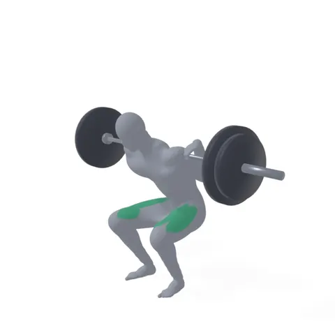 Barbell Squat demo