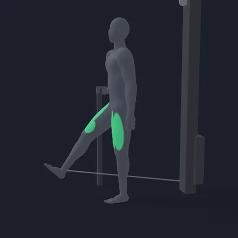Standing Cable Leg Extension demo