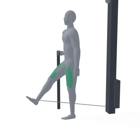 Standing Cable Leg Extension demo