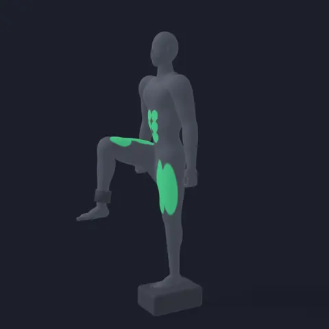Standing Hip Flexor Raise demo