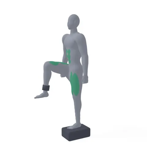 Standing Hip Flexor Raise demo