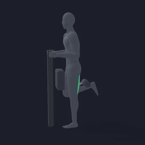 Standing Leg Curl demo