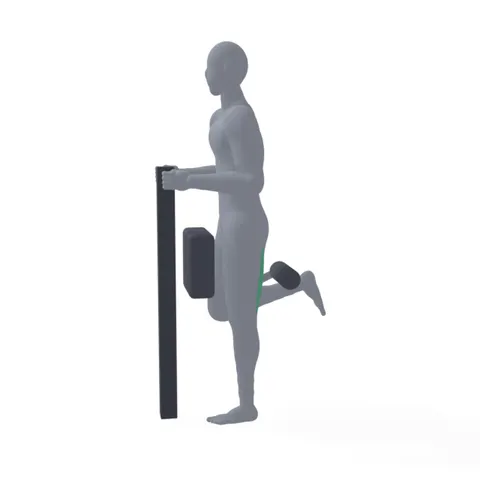 Standing Leg Curl demo