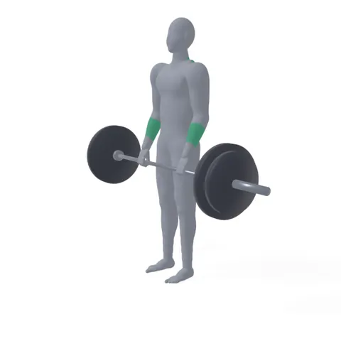 Stiff-Leg Deadlift demo