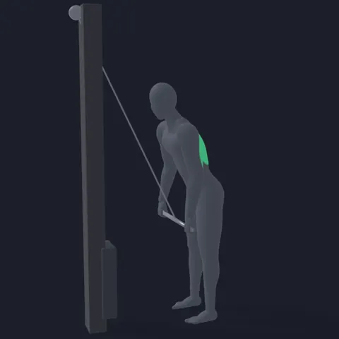 Straight Arm Lat Pulldown demo