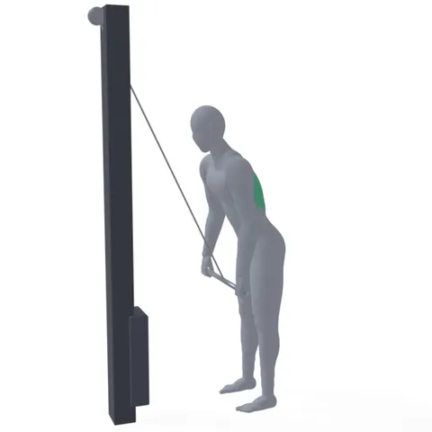 Straight Arm Lat Pulldown demo