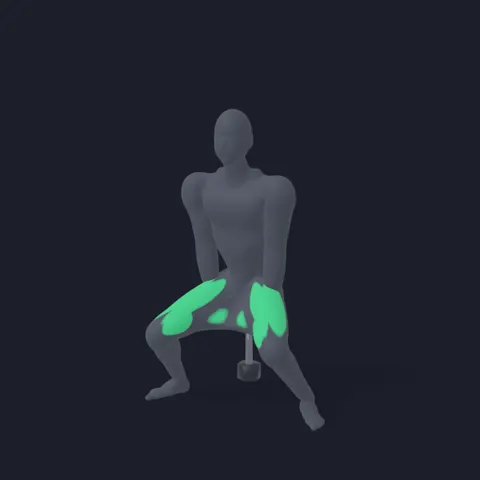 Sumo Squat demo