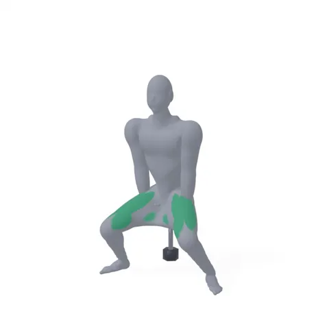 Sumo Squat demo