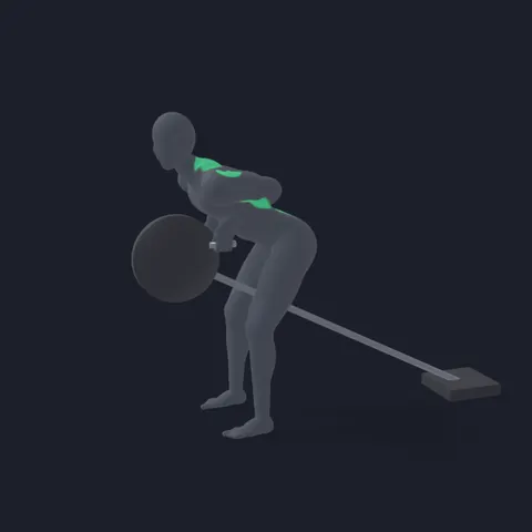 T-Bar Row demo
