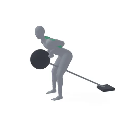 T-Bar Row demo