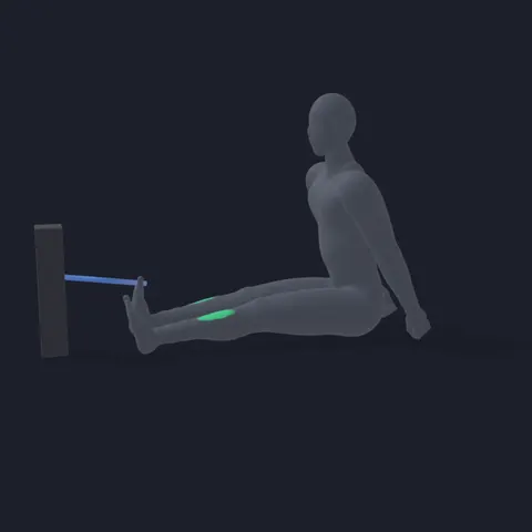 Tibialis Band Pull demo