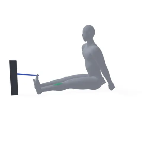 Tibialis Band Pull demo