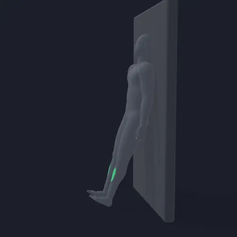 Tibialis Raise demo
