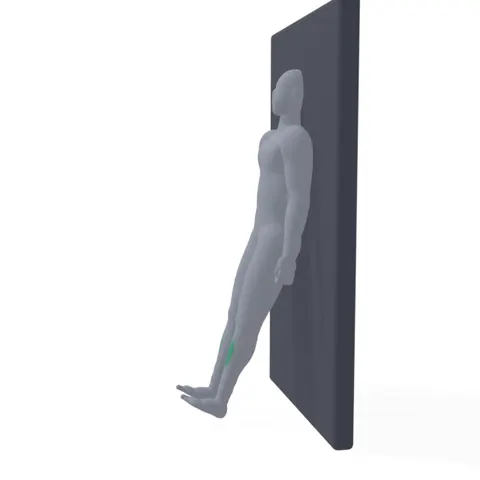 Tibialis Raise demo