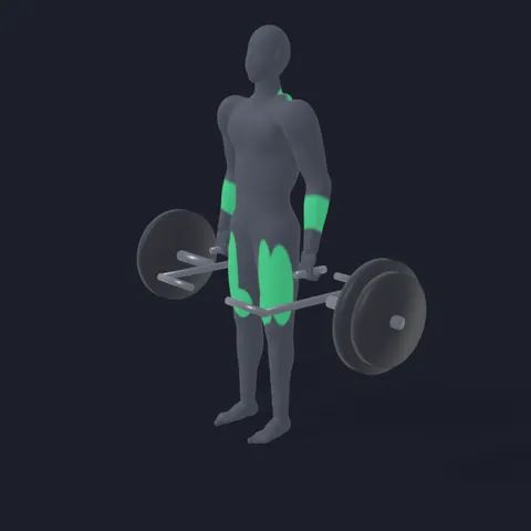Trap Bar Deadlift with High Handles demo
